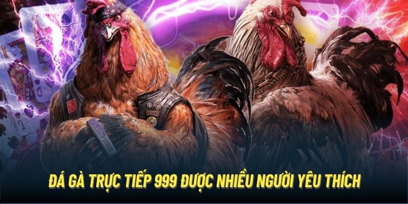 Đá gà trực tiếp 999 được nhiều người yêu thích