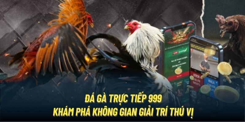 Đá Gà Trực Tiếp 999 | Khám Phá Không Gian Giải Trí Thú Vị